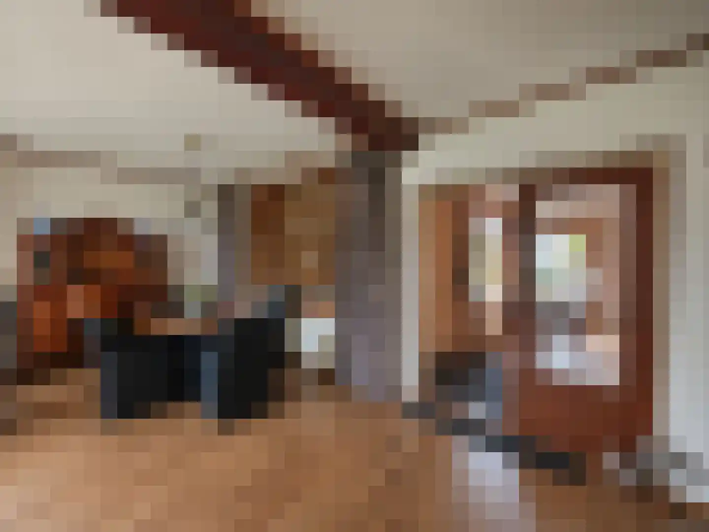 Bovendonksestraat 45 Hoeven thumbnail 11