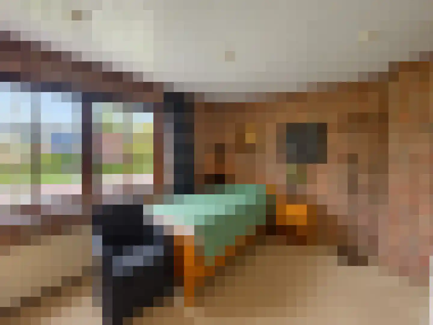 Bovendonksestraat 45 Hoeven thumbnail 15