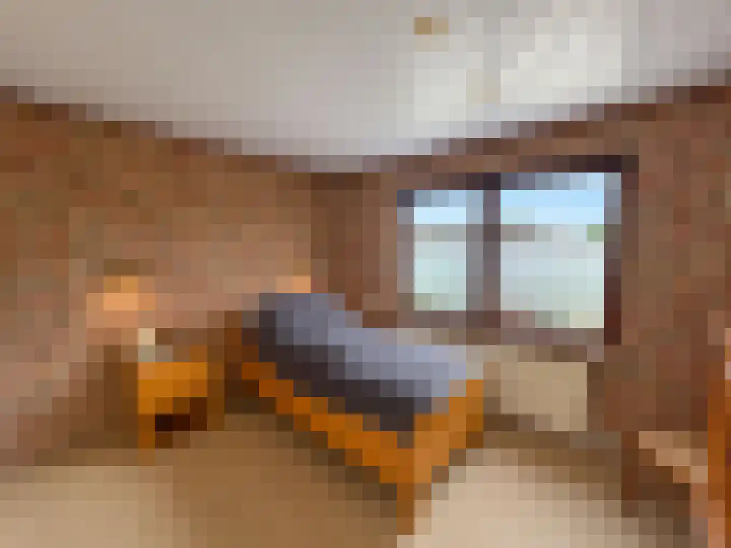Bovendonksestraat 45 Hoeven thumbnail 17