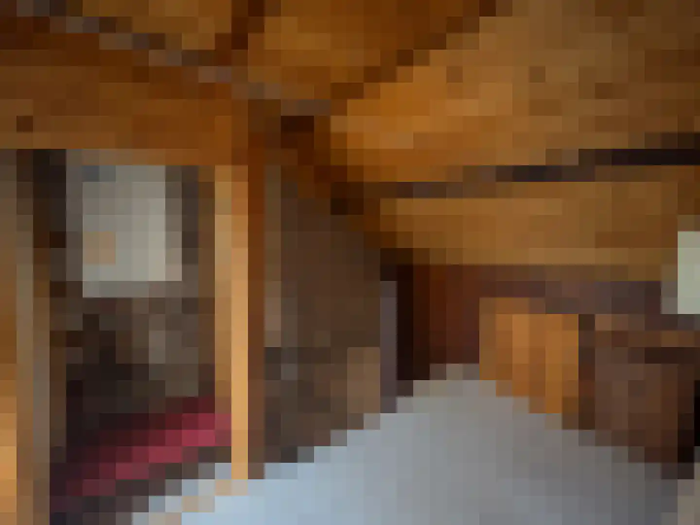Bovendonksestraat 45 Hoeven thumbnail 18