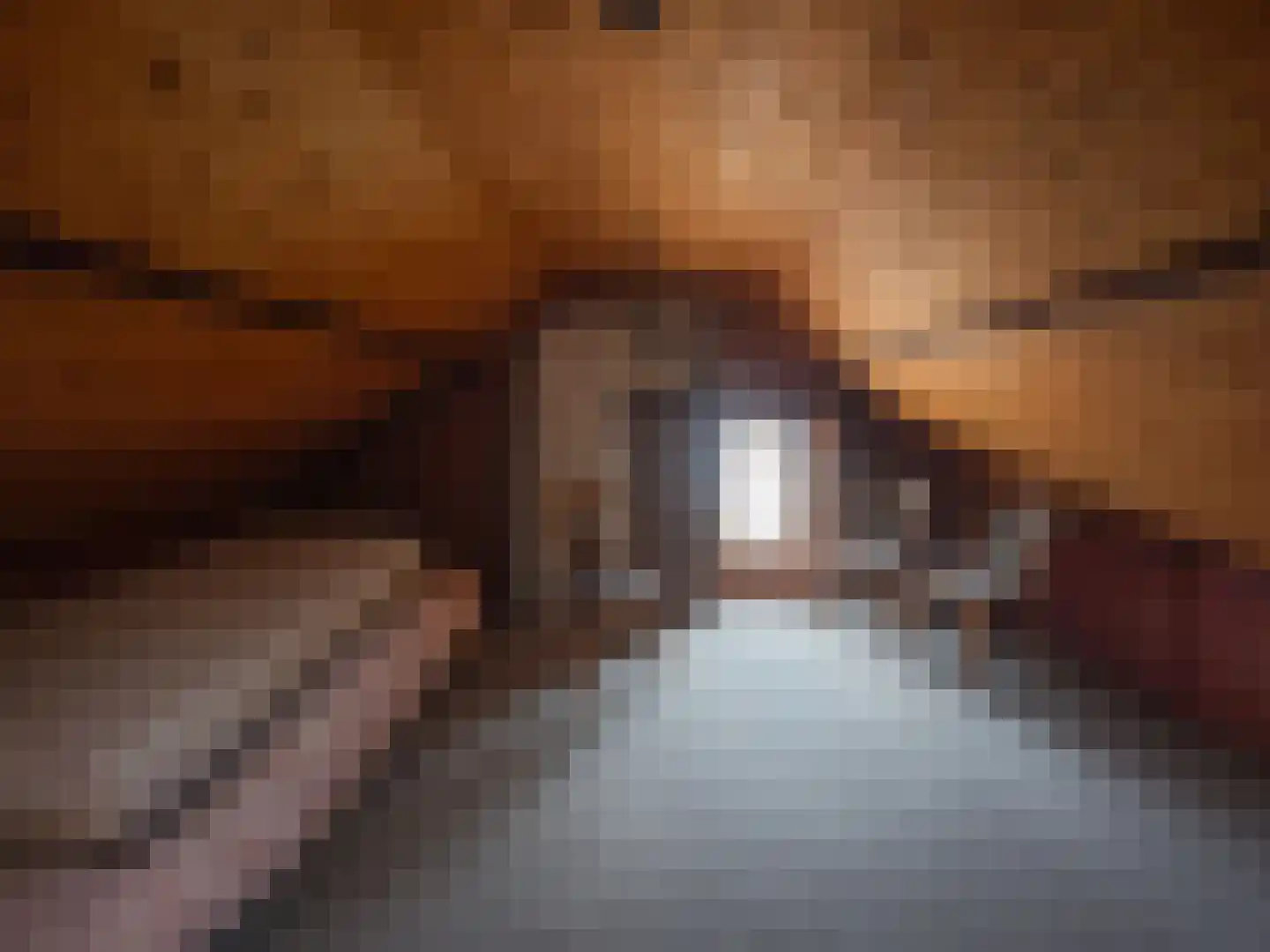 Bovendonksestraat 45 Hoeven thumbnail 19