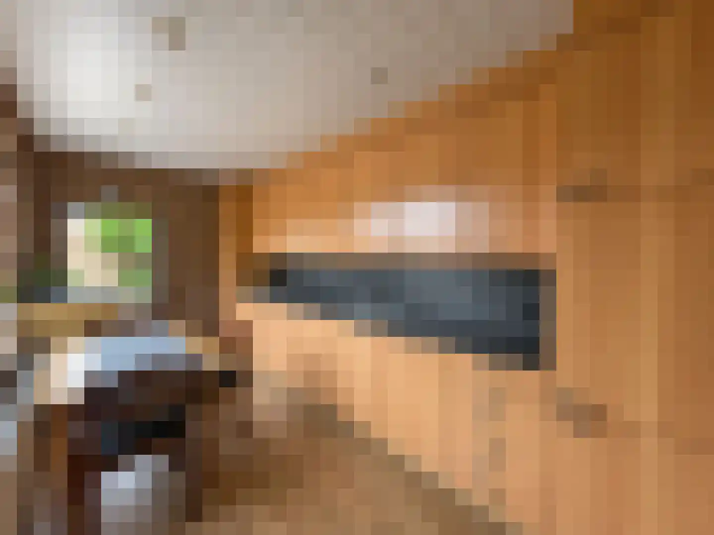 Bovendonksestraat 45 Hoeven thumbnail 4