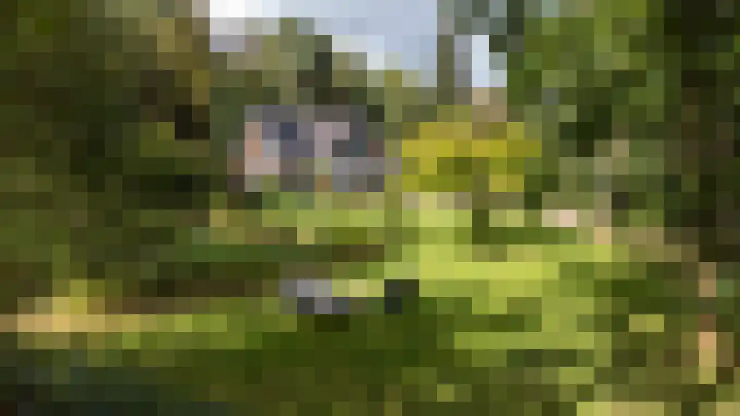 Bovendwarsweg 101 Oldebroek thumbnail 11