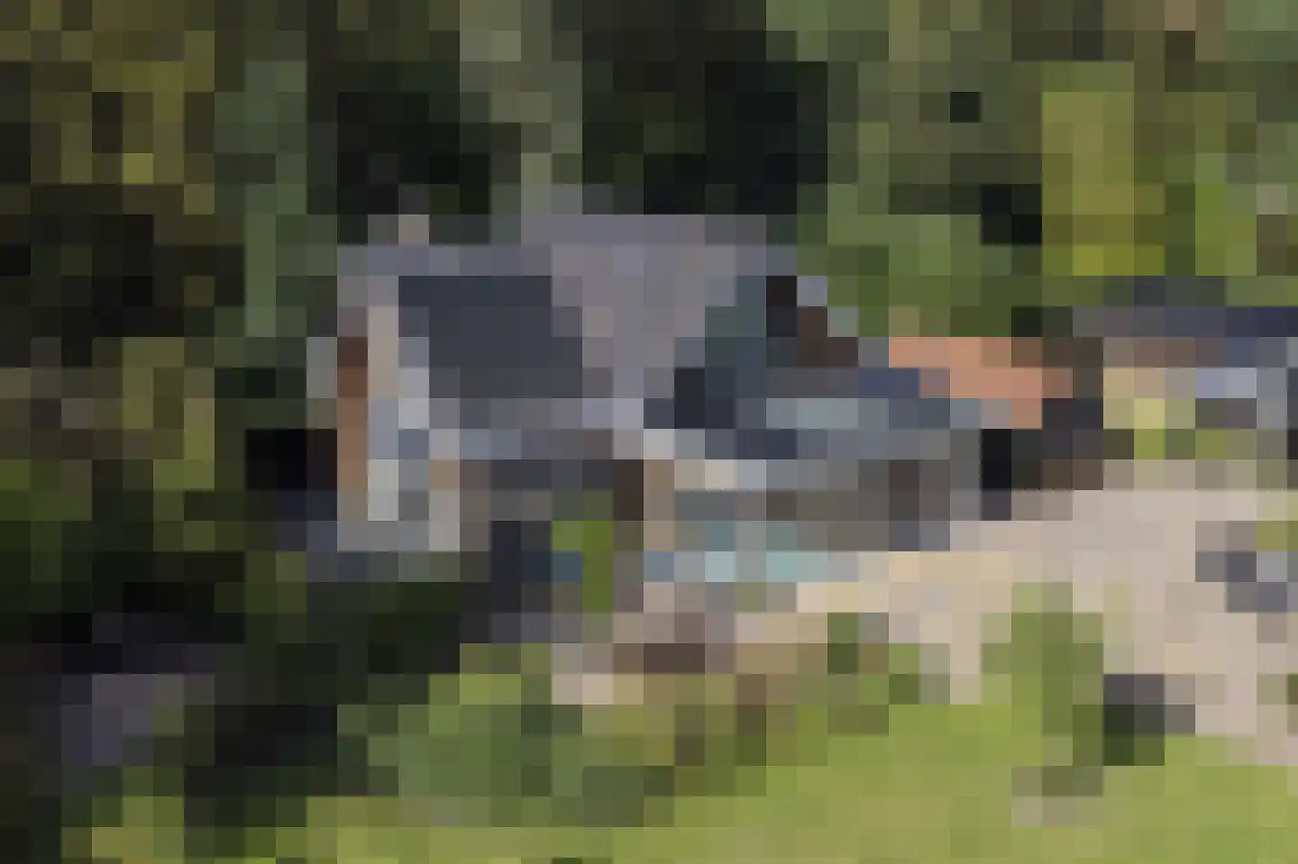 Bovendwarsweg 101 Oldebroek thumbnail 12