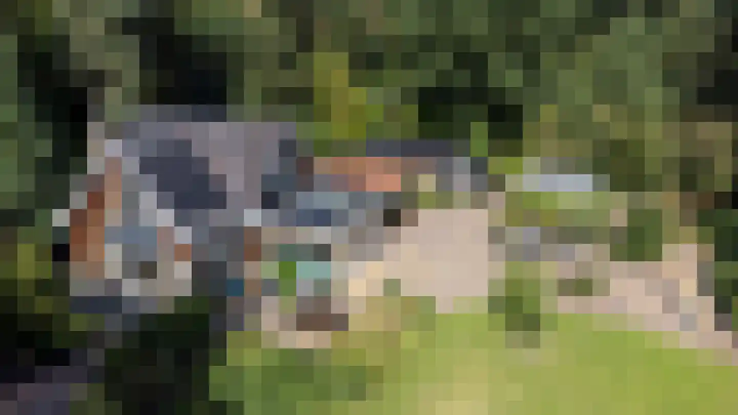 Bovendwarsweg 101 Oldebroek thumbnail 13