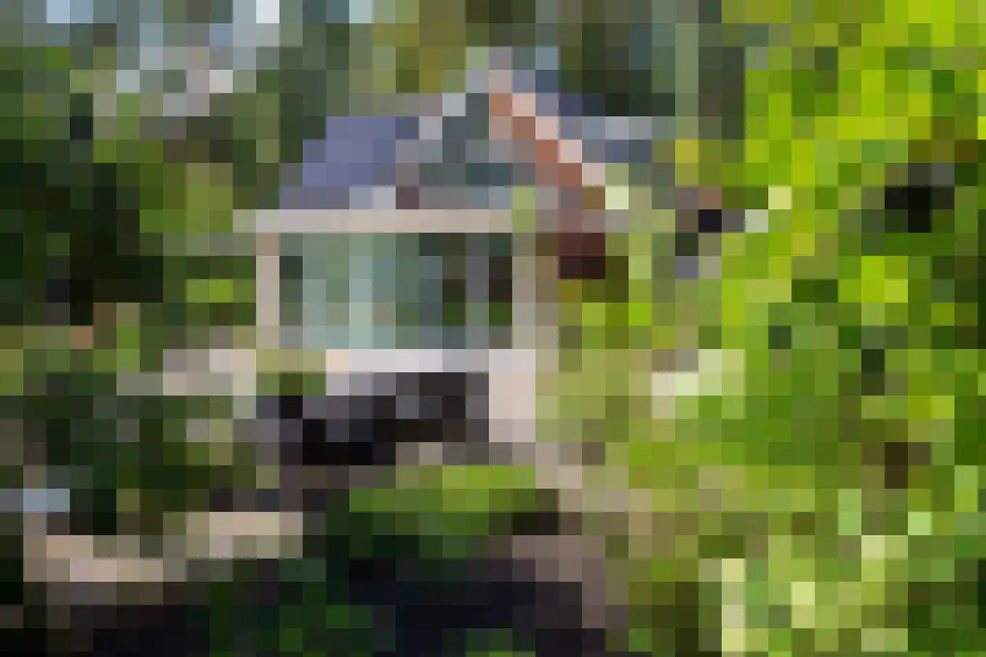 Bovendwarsweg 101 Oldebroek thumbnail 14