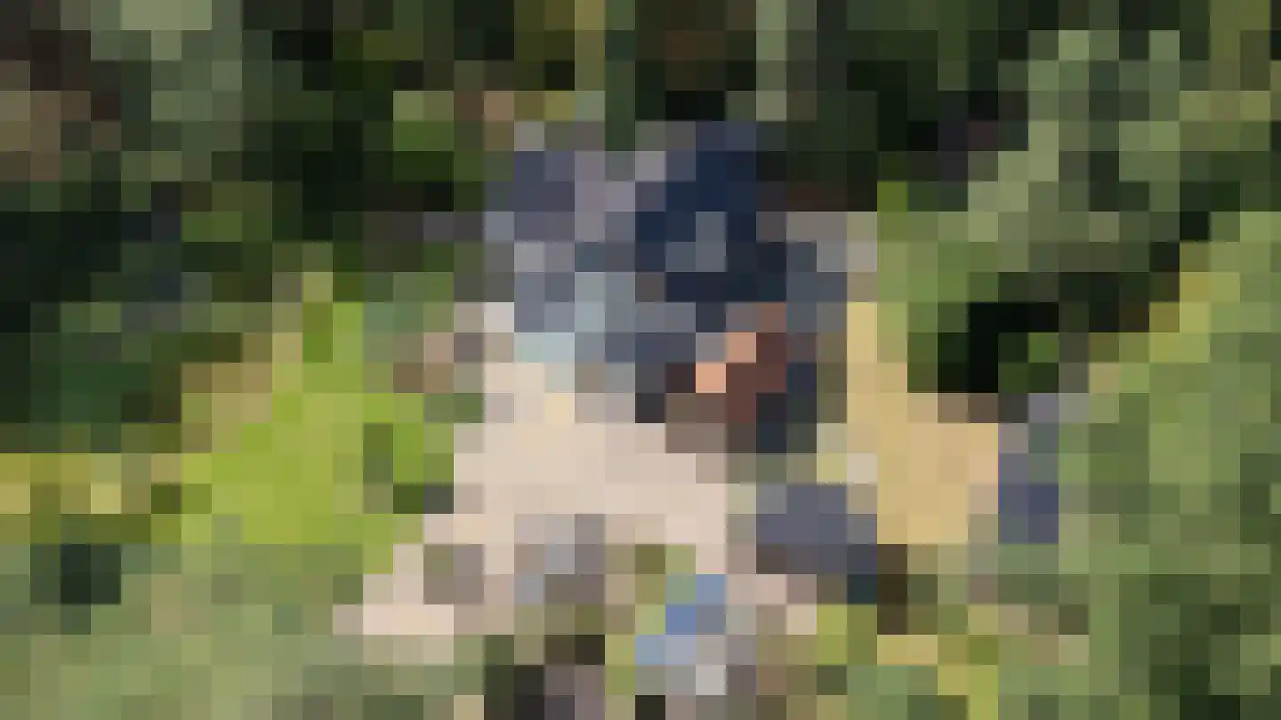 Bovendwarsweg 101 Oldebroek thumbnail 16