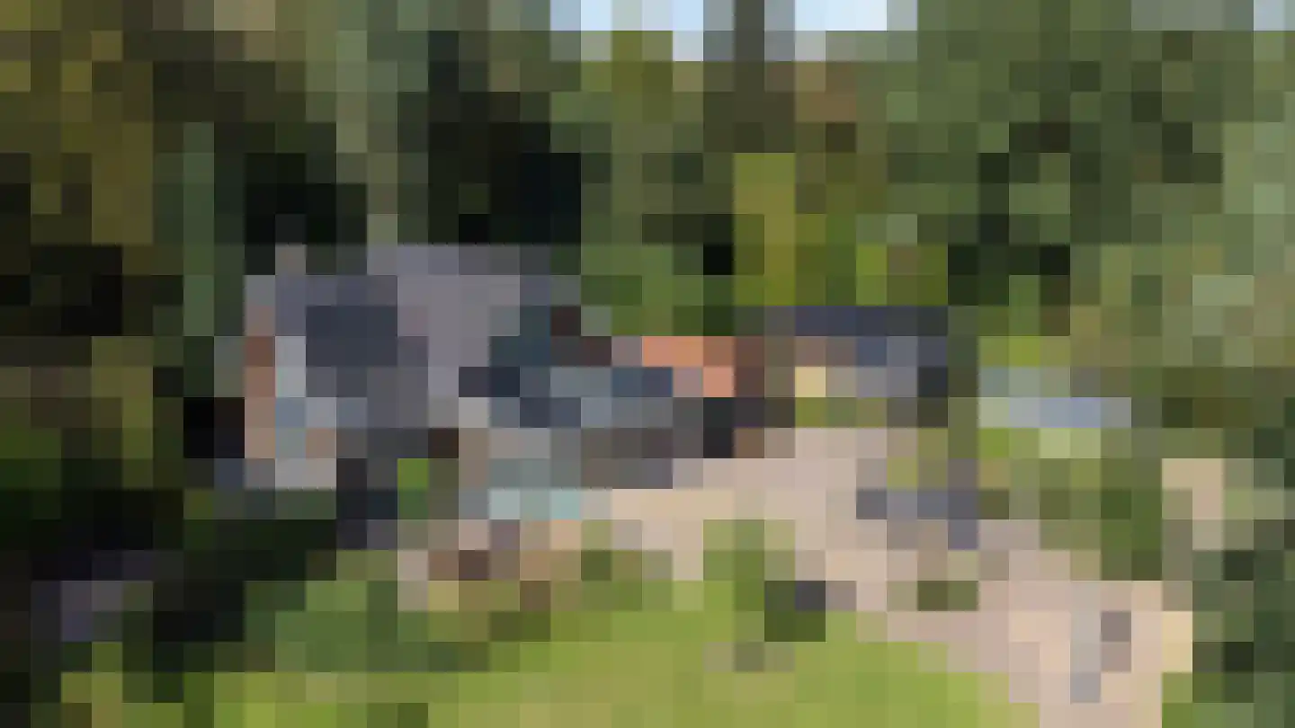 Bovendwarsweg 101 Oldebroek thumbnail 17