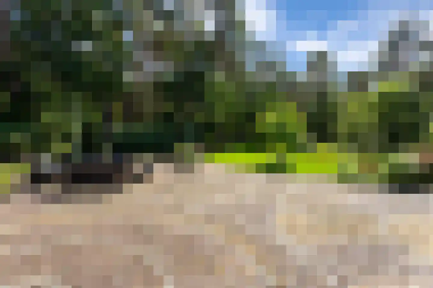 Bovendwarsweg 101 Oldebroek thumbnail 21