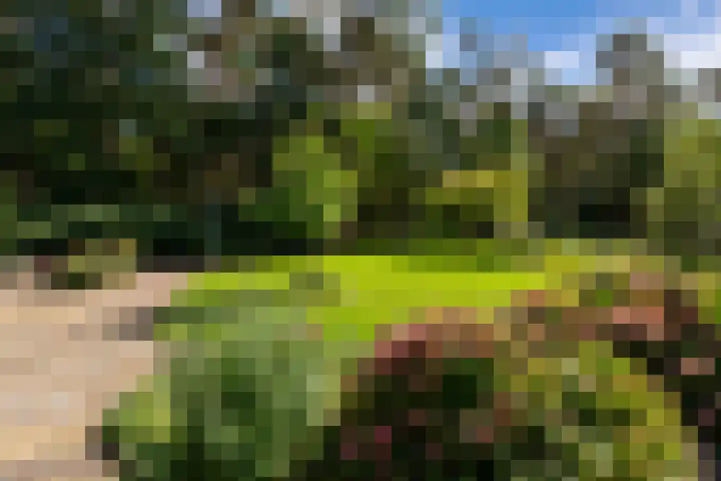 Bovendwarsweg 101 Oldebroek thumbnail 22