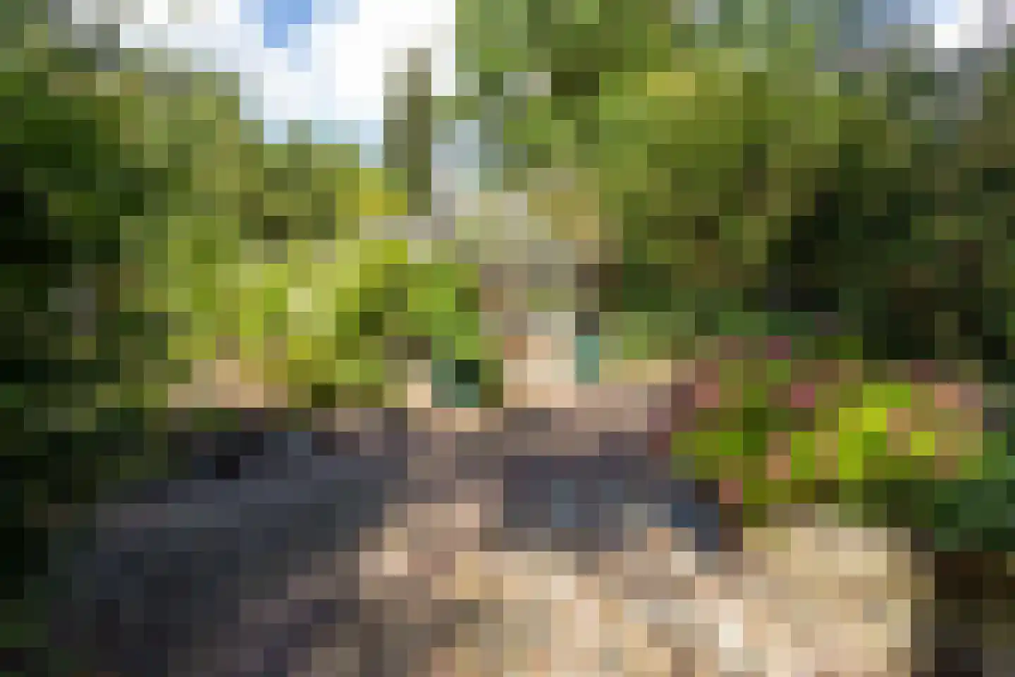 Bovendwarsweg 101 Oldebroek thumbnail 27