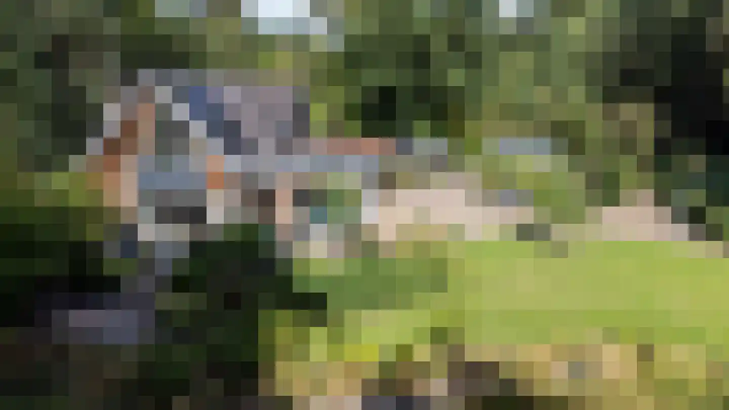 Bovendwarsweg 101 Oldebroek thumbnail 28