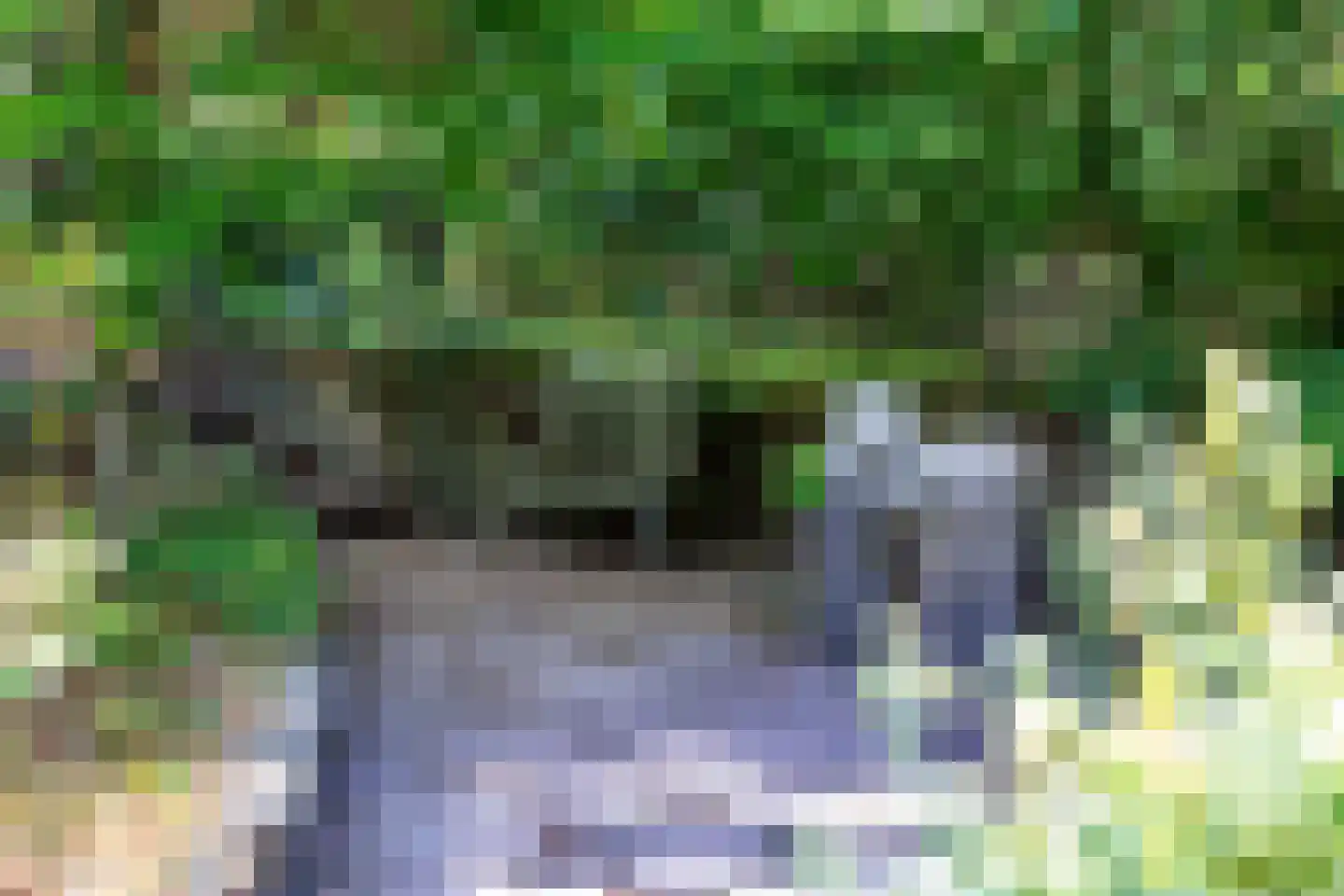 Bovendwarsweg 101 Oldebroek thumbnail 30