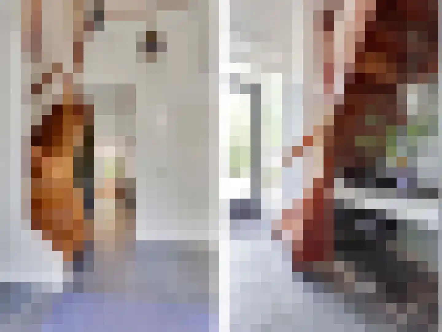 Bovendwarsweg 101 Oldebroek thumbnail 33