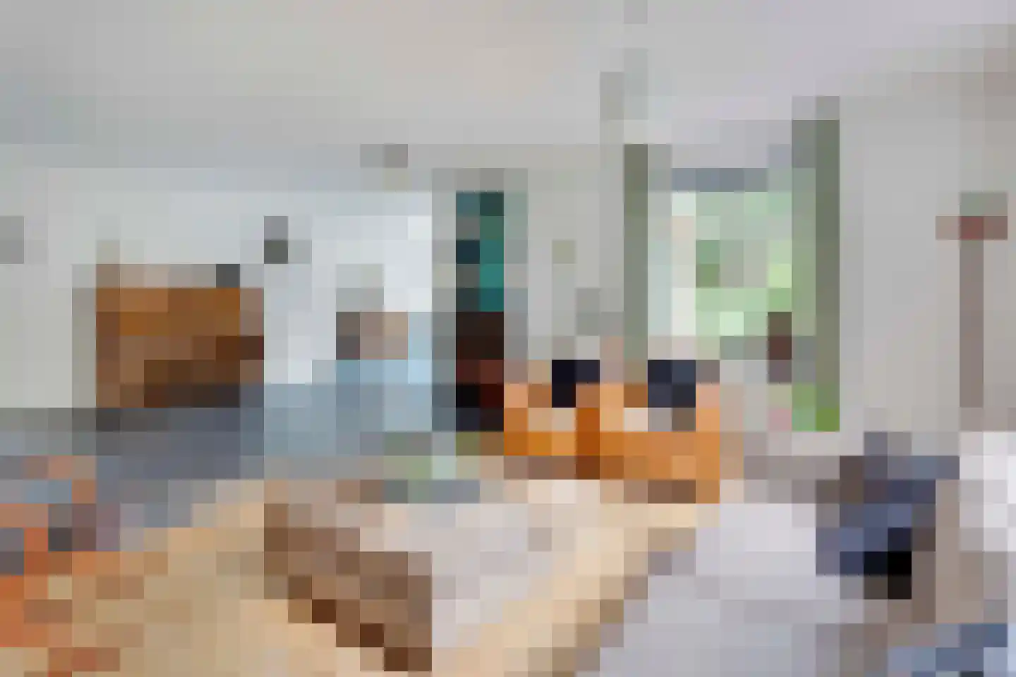 Bovendwarsweg 101 Oldebroek thumbnail 42