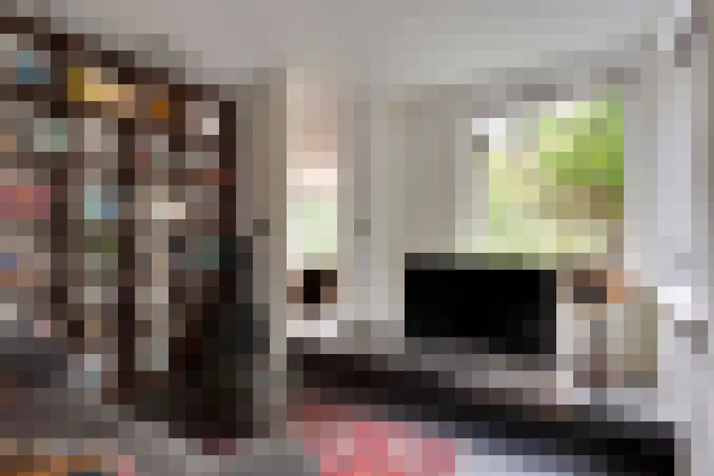 Bovendwarsweg 101 Oldebroek thumbnail 44