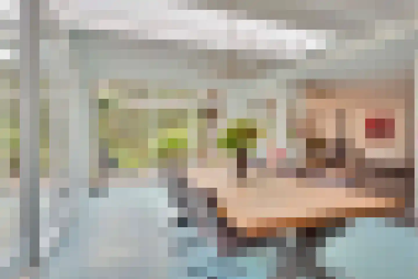 Bovendwarsweg 101 Oldebroek thumbnail 49