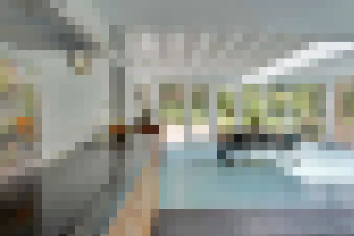 Bovendwarsweg 101 Oldebroek thumbnail 52