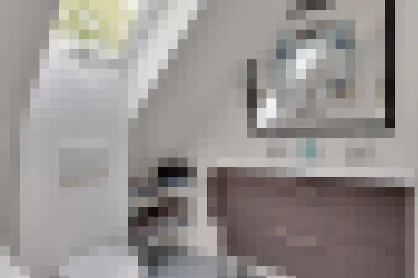Bovendwarsweg 101 Oldebroek thumbnail 61