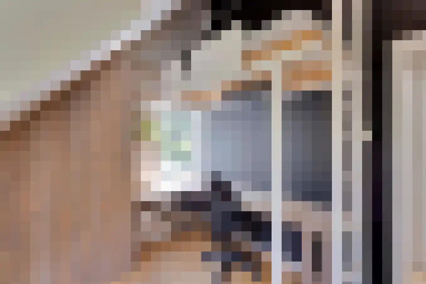 Bovendwarsweg 101 Oldebroek thumbnail 65
