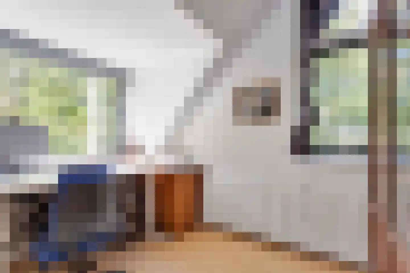 Bovendwarsweg 101 Oldebroek thumbnail 67