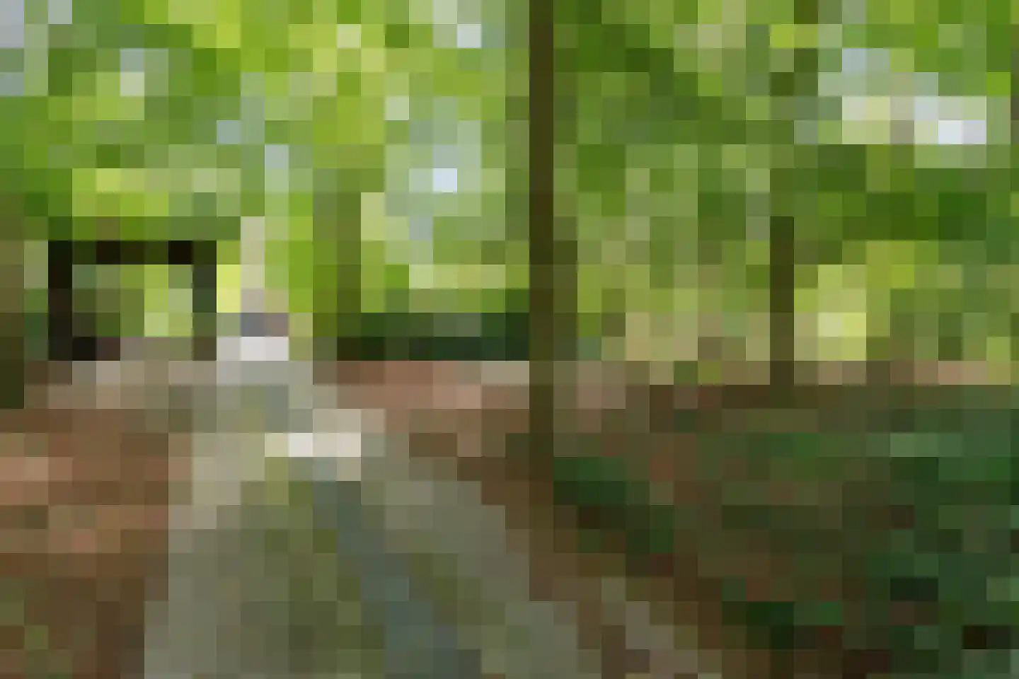 Bovendwarsweg 101 Oldebroek thumbnail 69