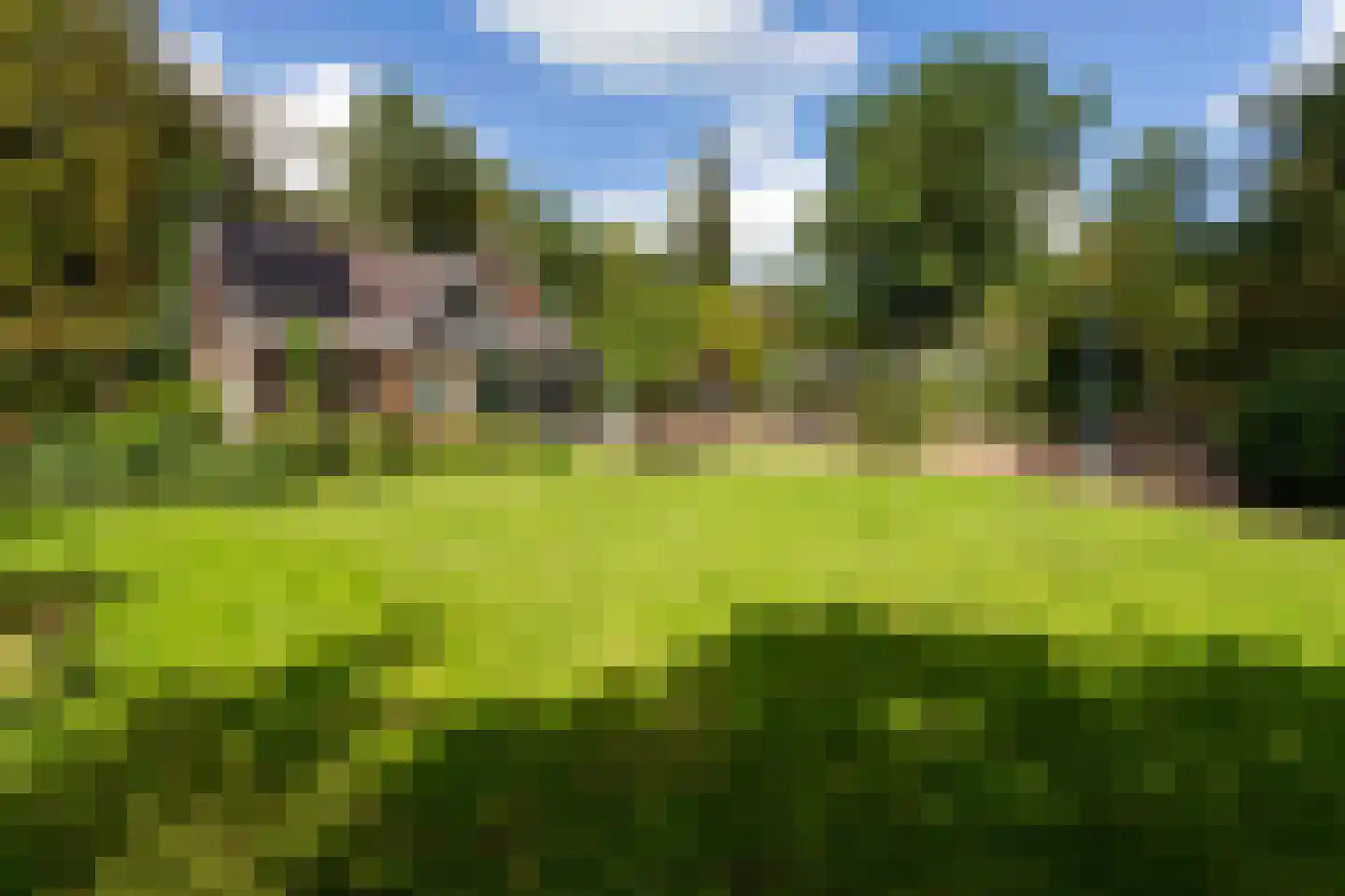 Bovendwarsweg 101 Oldebroek thumbnail 71