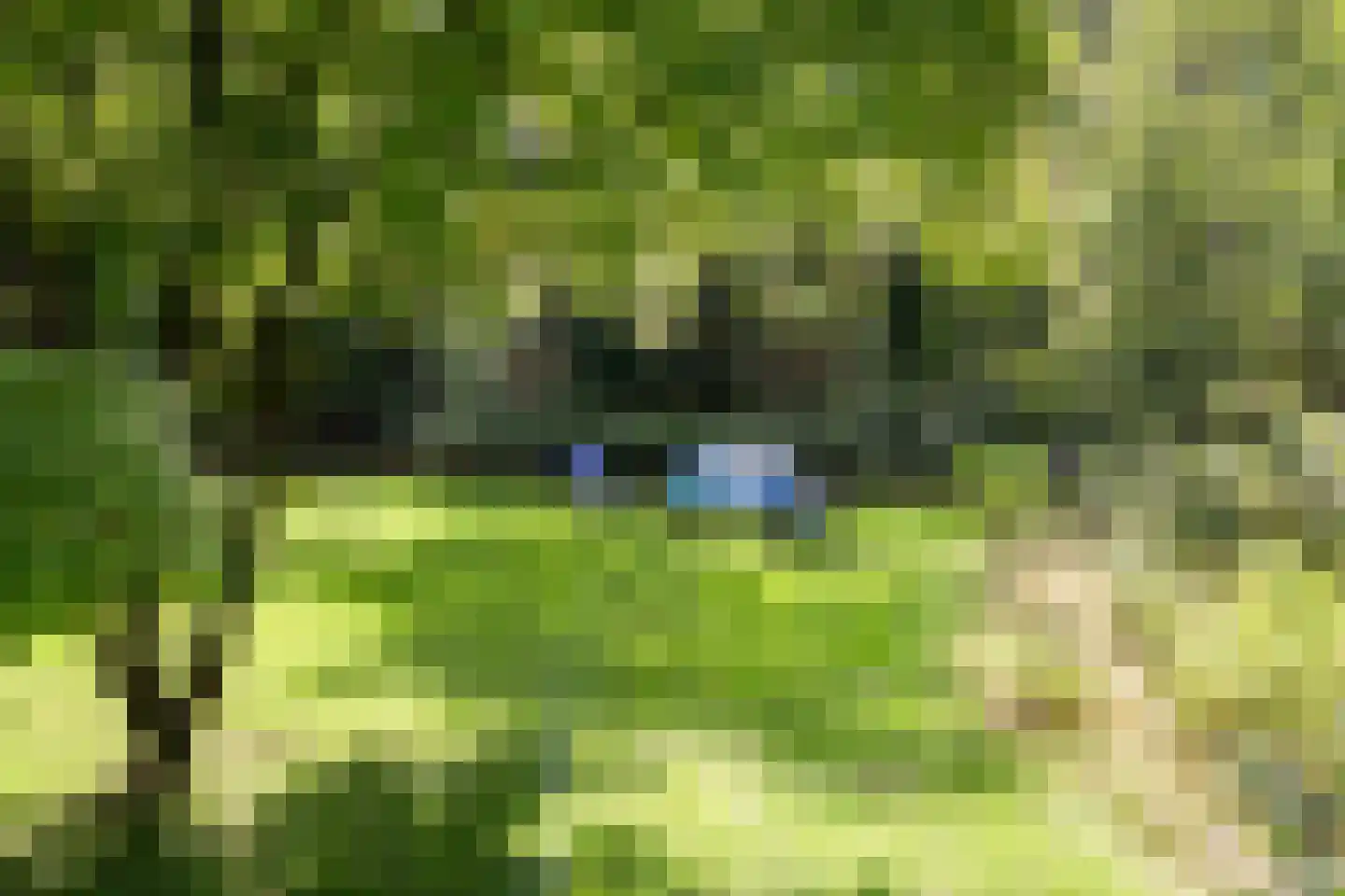 Bovendwarsweg 101 Oldebroek thumbnail 72