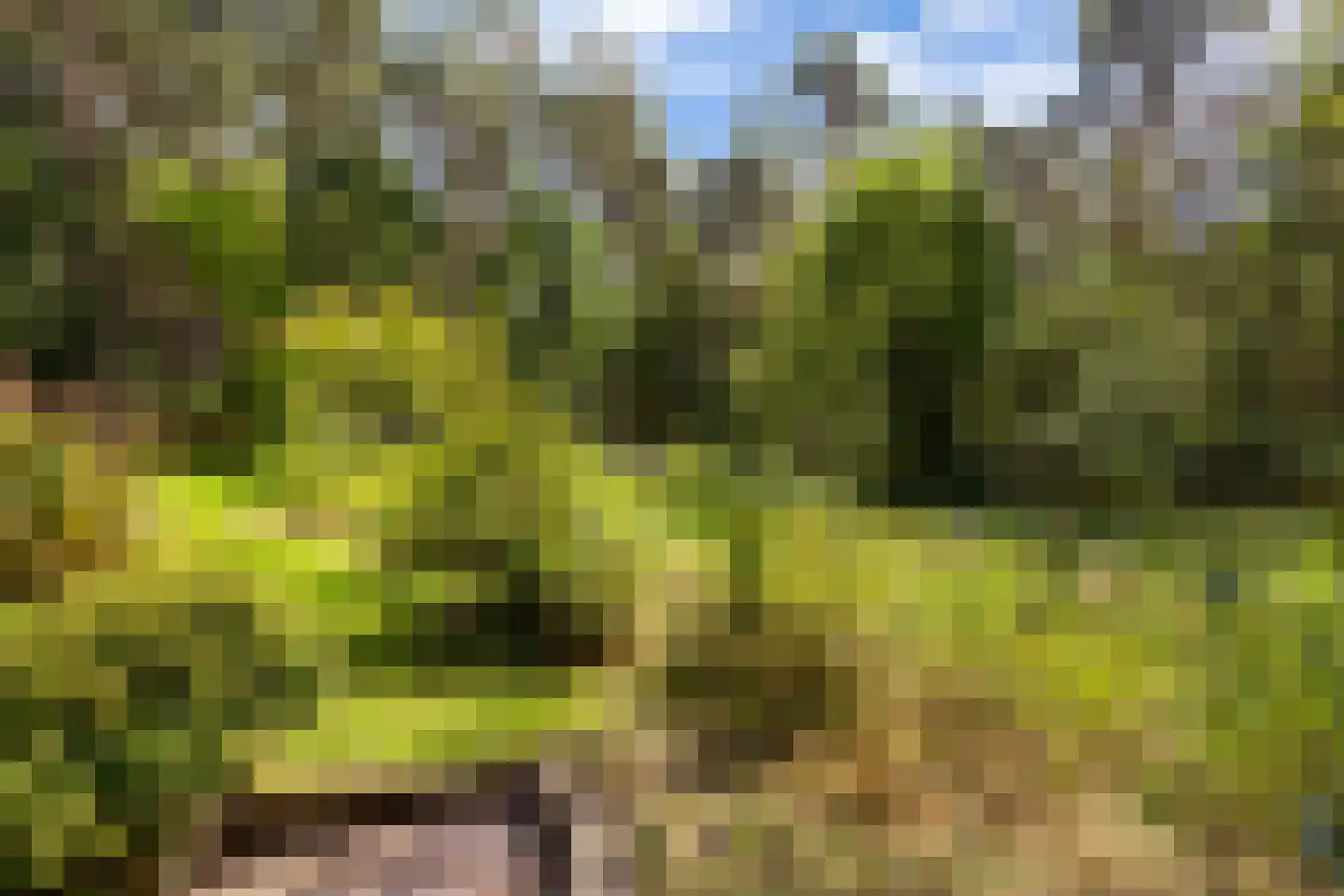 Bovendwarsweg 101 Oldebroek thumbnail 73