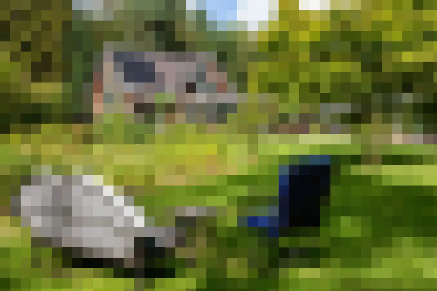 Bovendwarsweg 101 Oldebroek thumbnail 74
