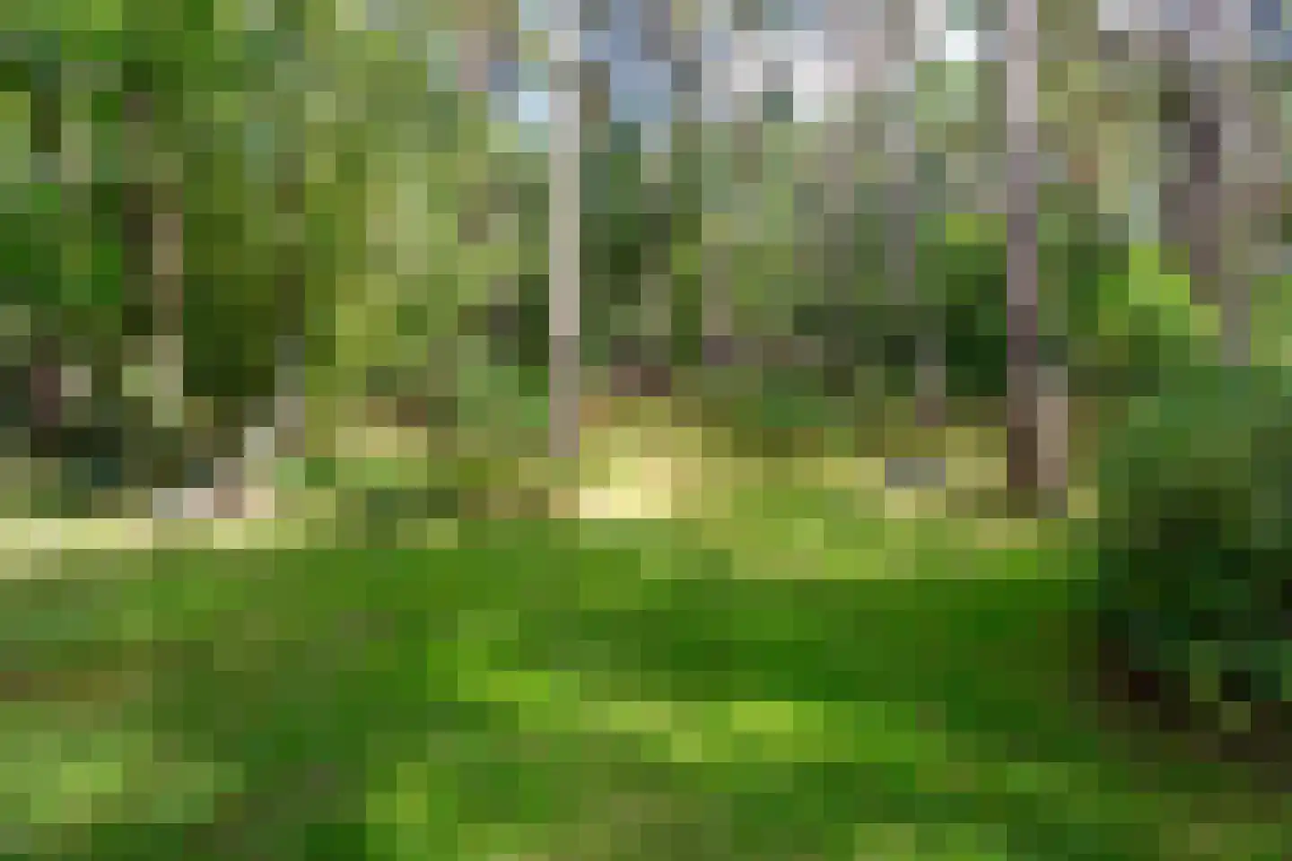 Bovendwarsweg 101 Oldebroek thumbnail 75