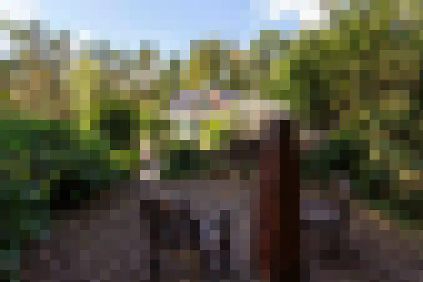 Bovendwarsweg 101 Oldebroek thumbnail 76