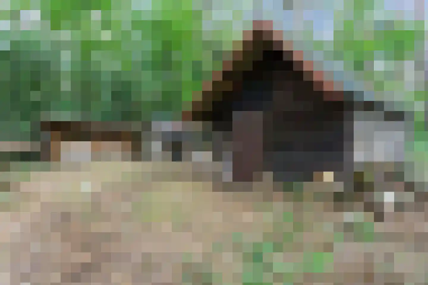 Bovendwarsweg 101 Oldebroek thumbnail 78