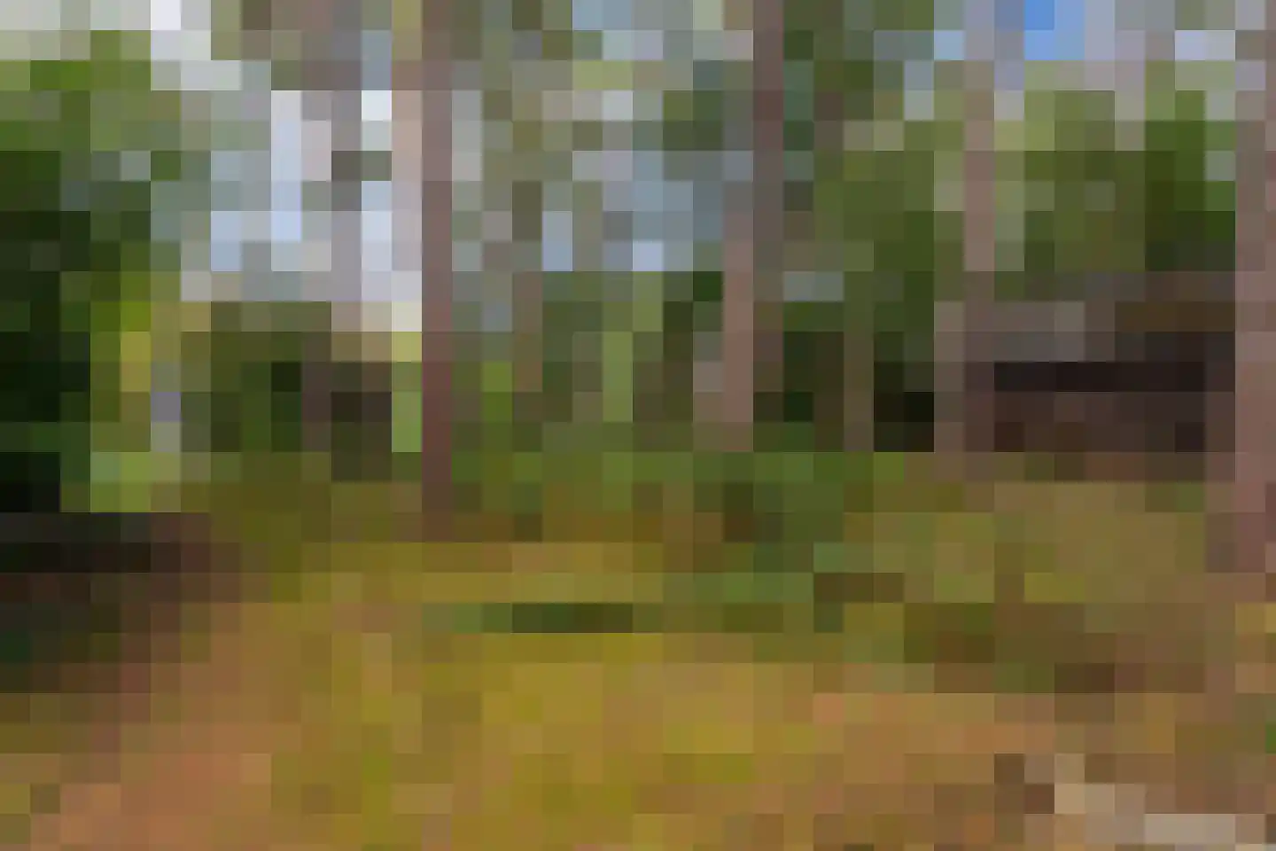 Bovendwarsweg 101 Oldebroek thumbnail 79