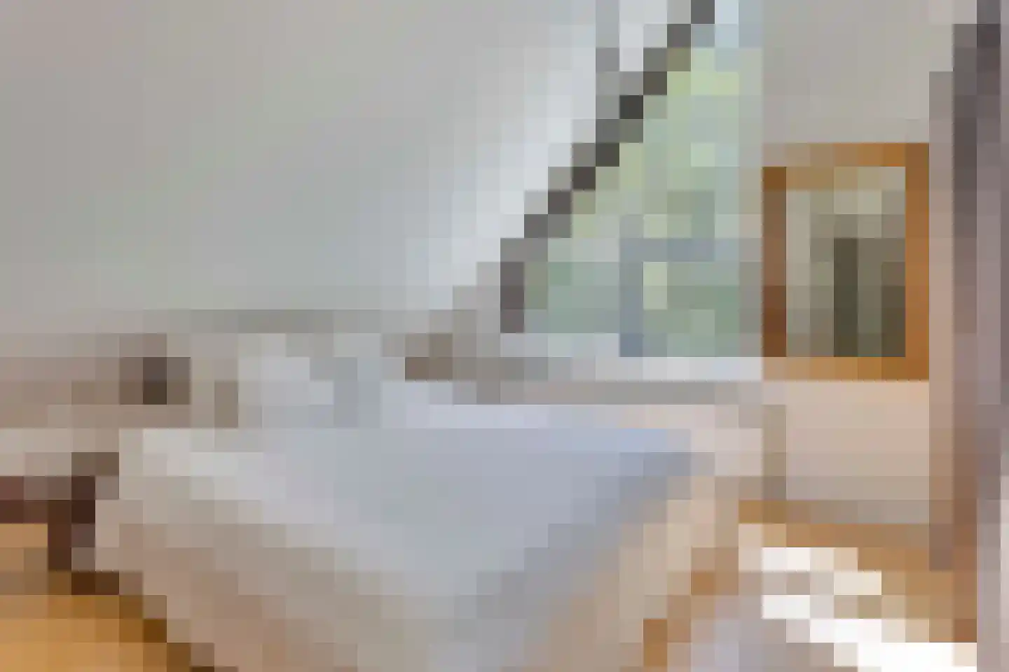 Bovendwarsweg 101 Oldebroek thumbnail 8