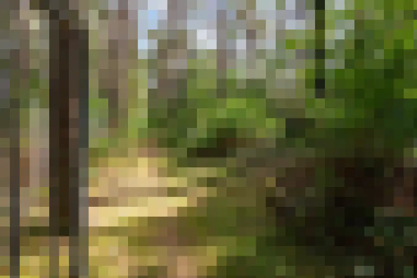 Bovendwarsweg 101 Oldebroek thumbnail 80