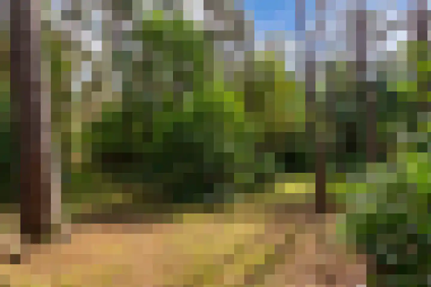 Bovendwarsweg 101 Oldebroek thumbnail 81