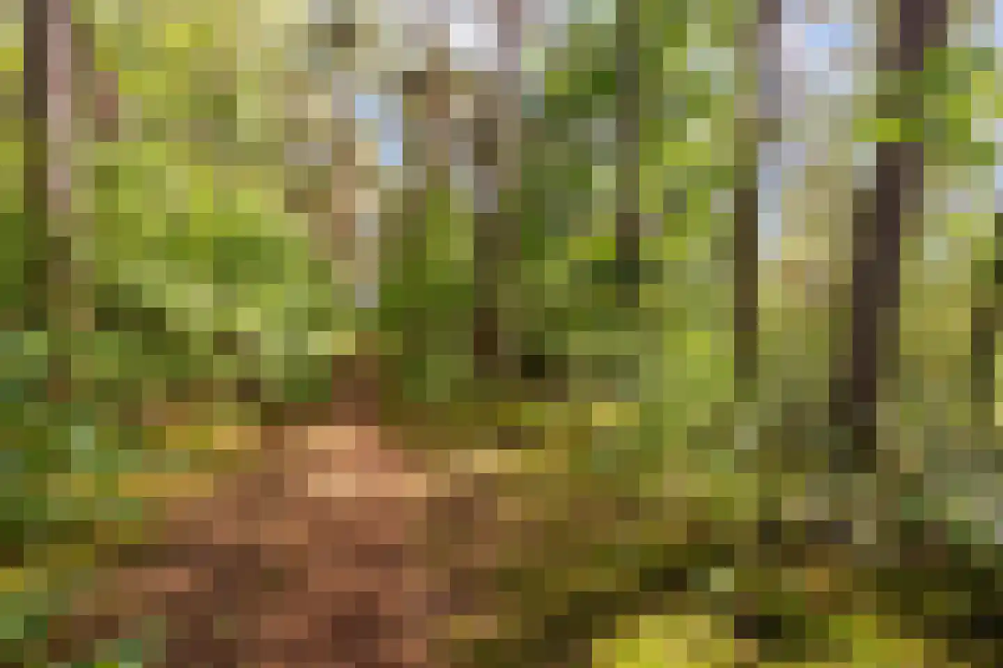 Bovendwarsweg 101 Oldebroek thumbnail 82