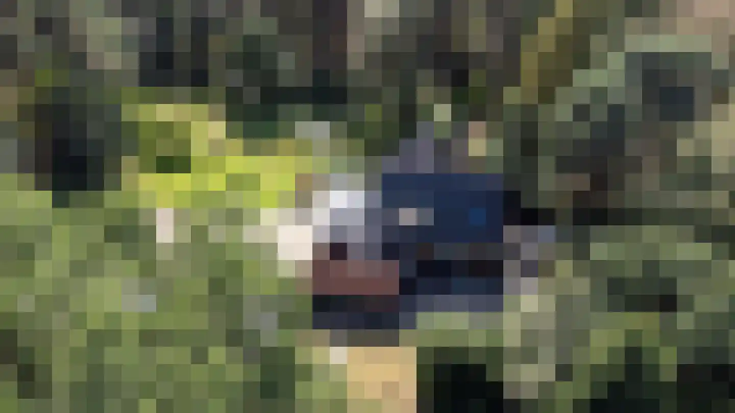 Bovendwarsweg 101 Oldebroek thumbnail 83