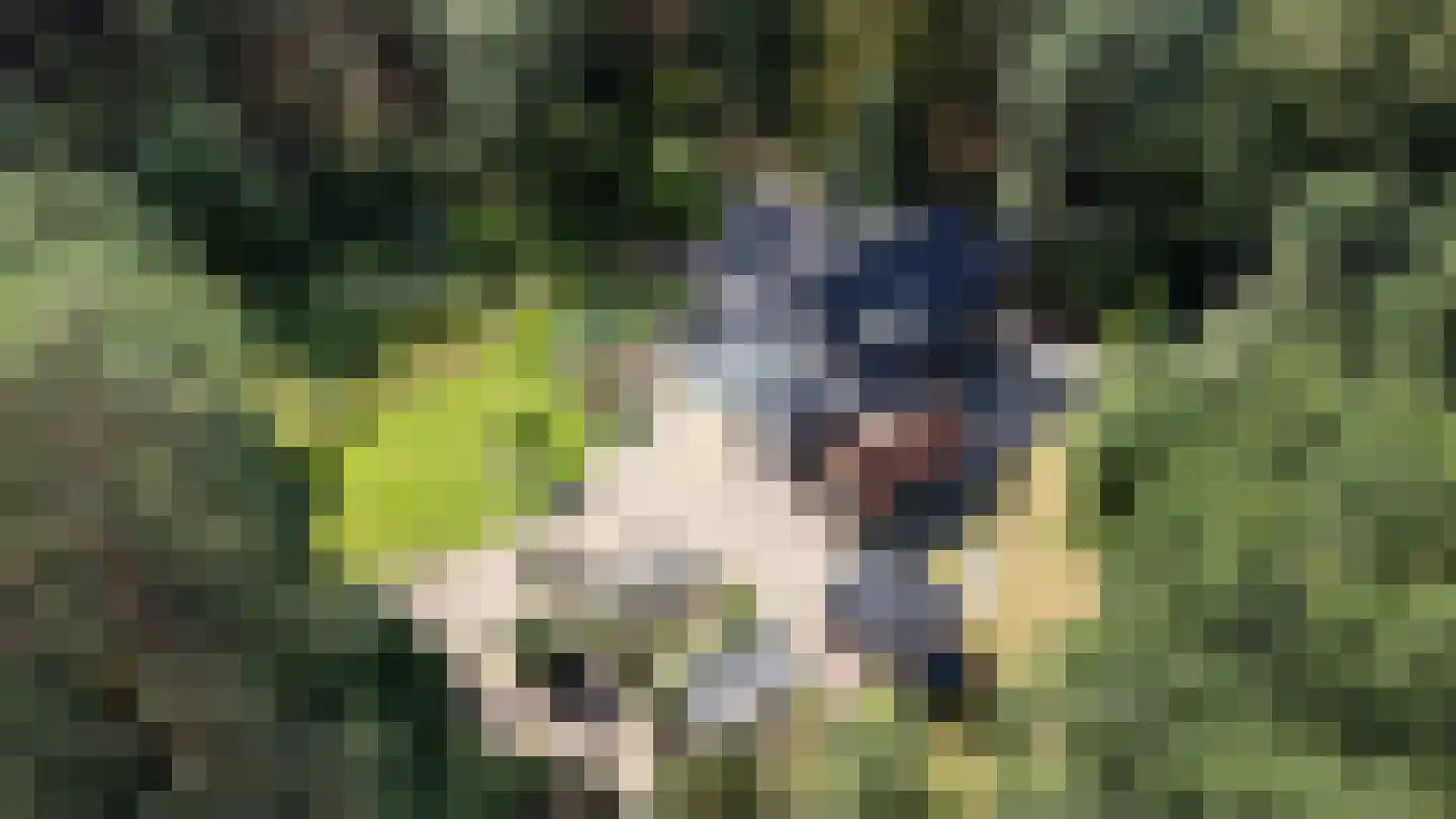 Bovendwarsweg 101 Oldebroek thumbnail 84