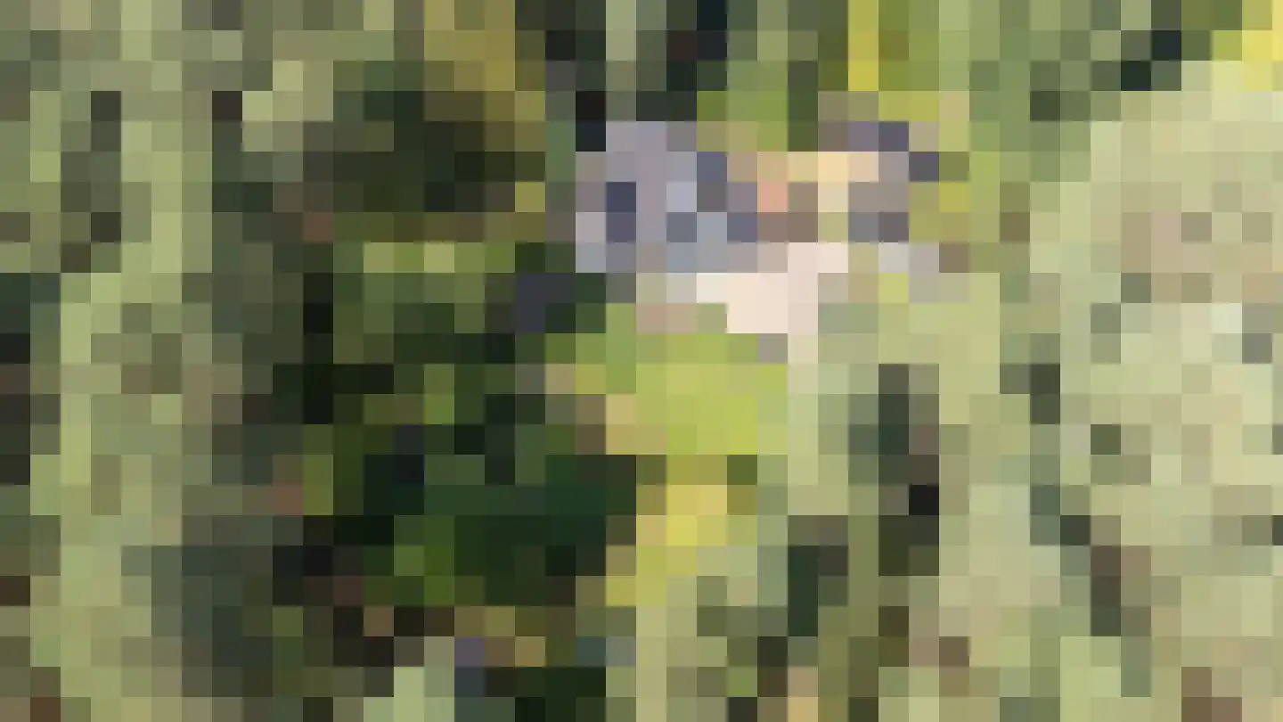 Bovendwarsweg 101 Oldebroek thumbnail 86