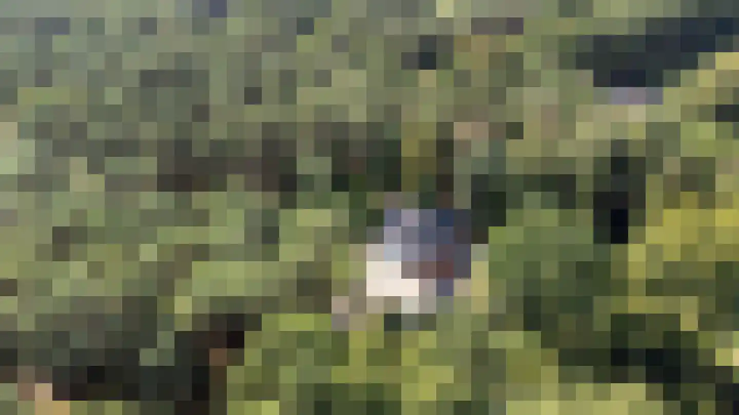 Bovendwarsweg 101 Oldebroek thumbnail 87