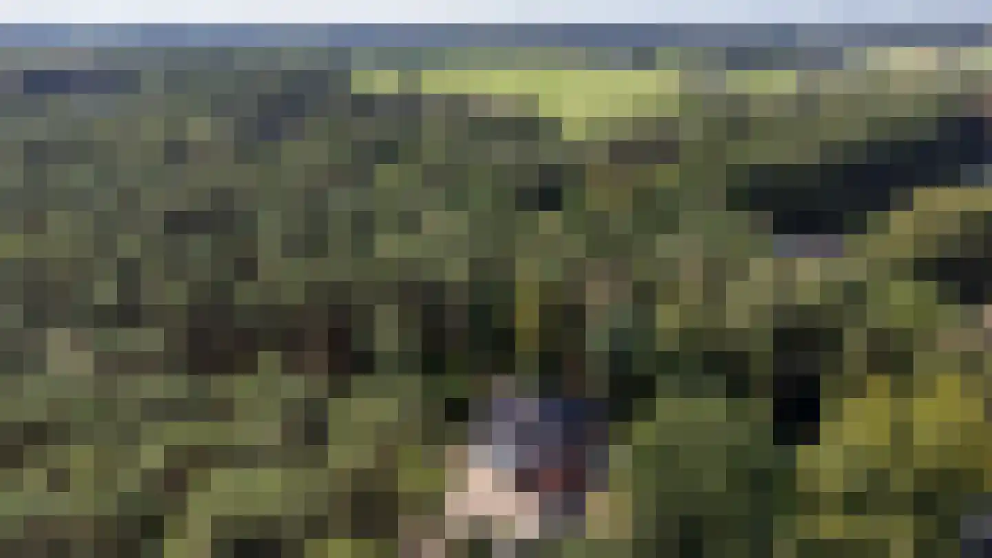 Bovendwarsweg 101 Oldebroek thumbnail 88