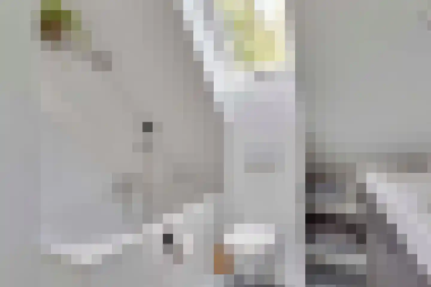 Bovendwarsweg 101 Oldebroek thumbnail 9