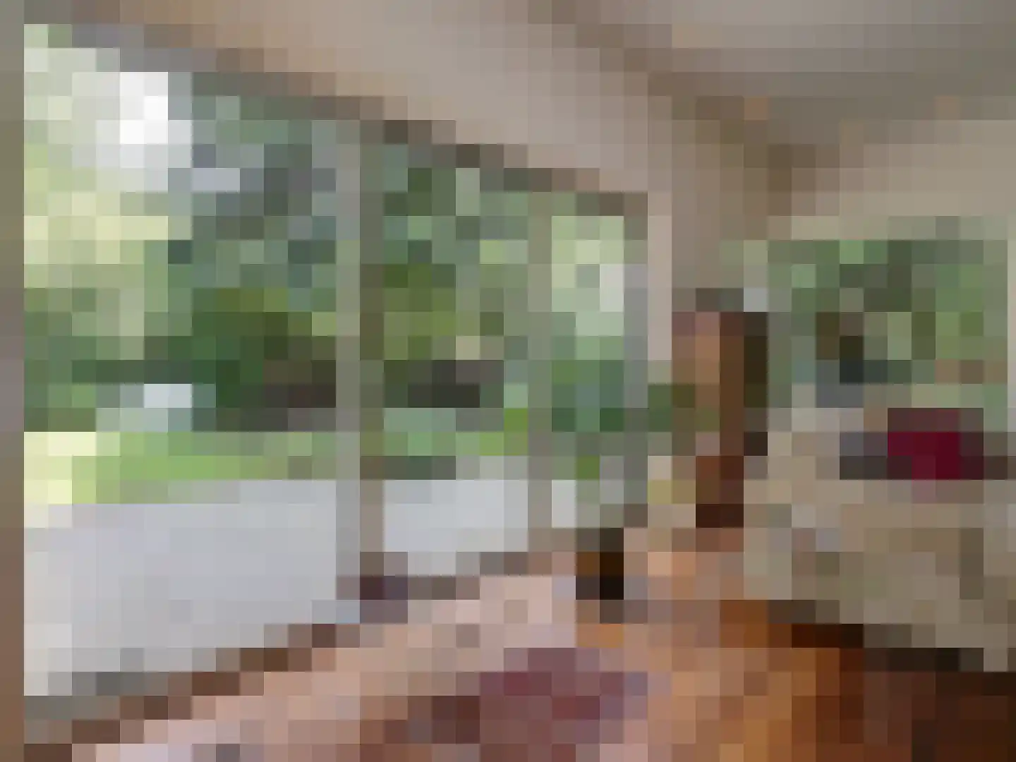 Bovendwarsweg 103 Oldebroek thumbnail 18