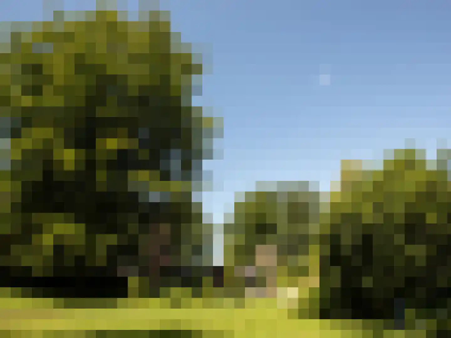 Bovendwarsweg 103 Oldebroek thumbnail 36