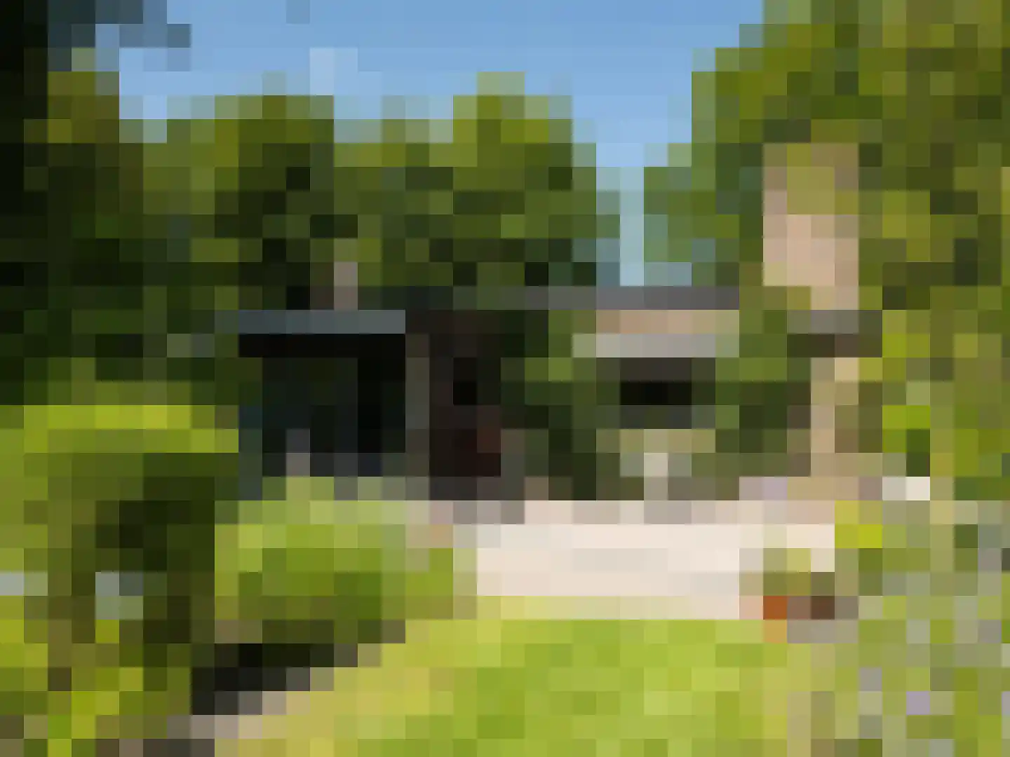 Bovendwarsweg 103 Oldebroek thumbnail 37