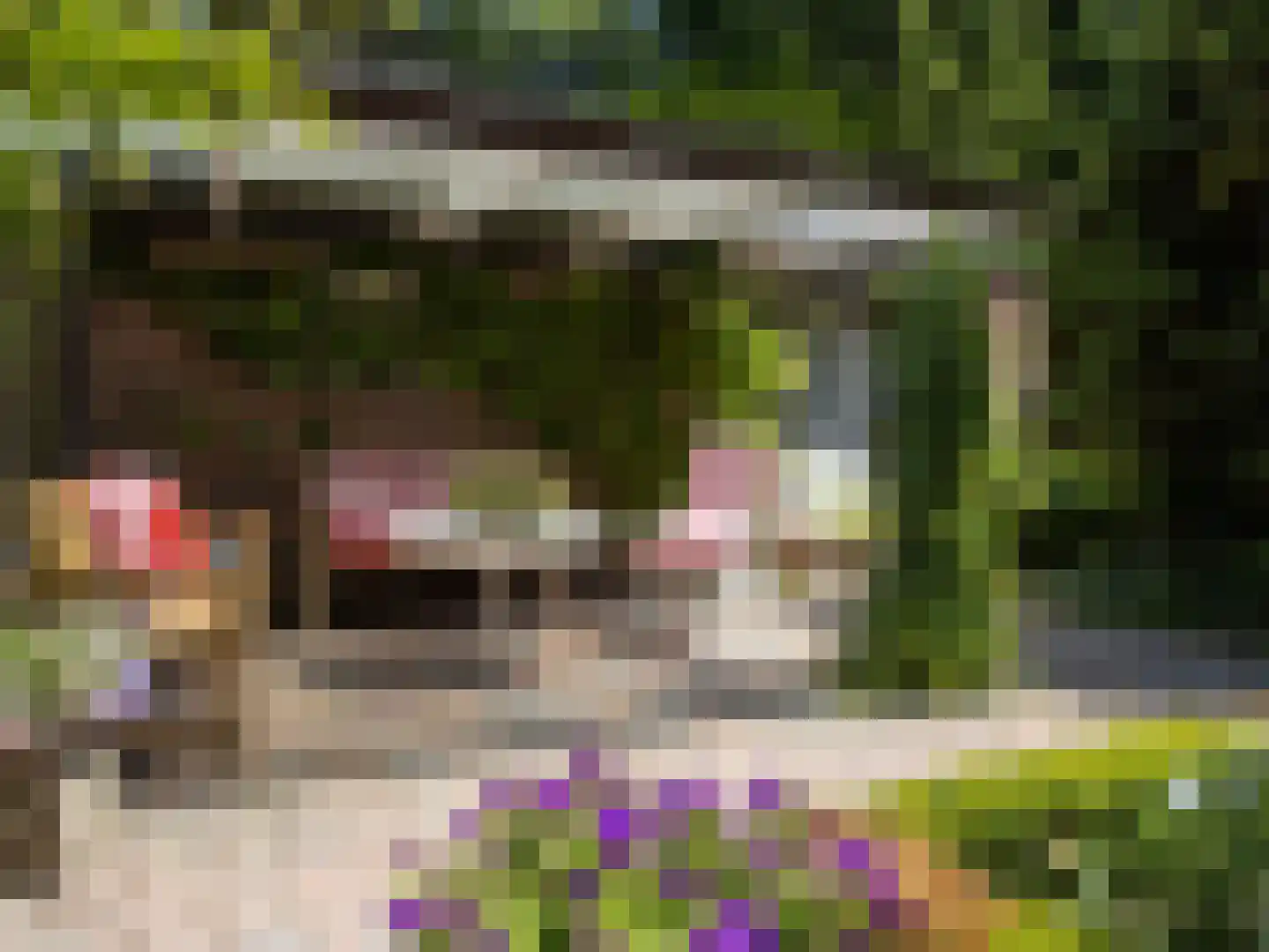 Bovendwarsweg 103 Oldebroek thumbnail 38