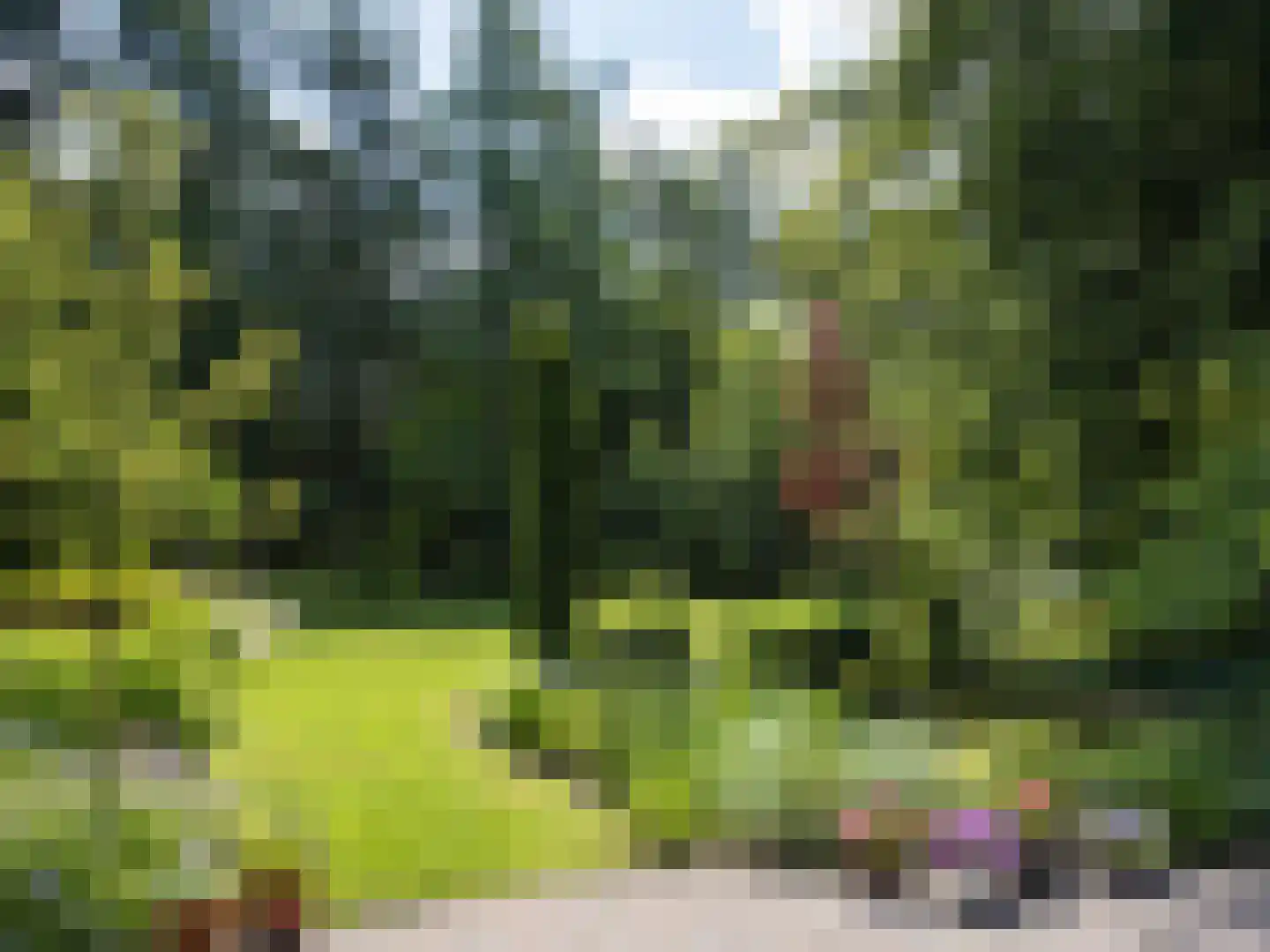 Bovendwarsweg 103 Oldebroek thumbnail 39