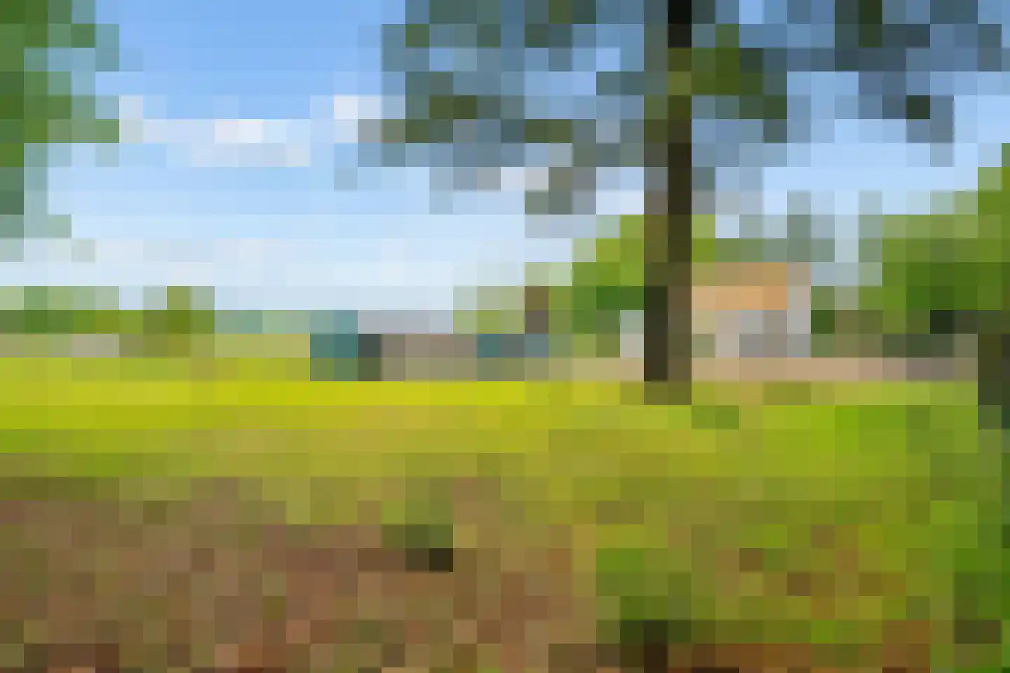 Bovendwarsweg 54 Oldebroek thumbnail 41